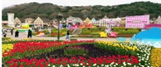 韓國愛寶樂園五彩繽紛的花園景色，園區內花卉盛開與遊客歡樂遊玩