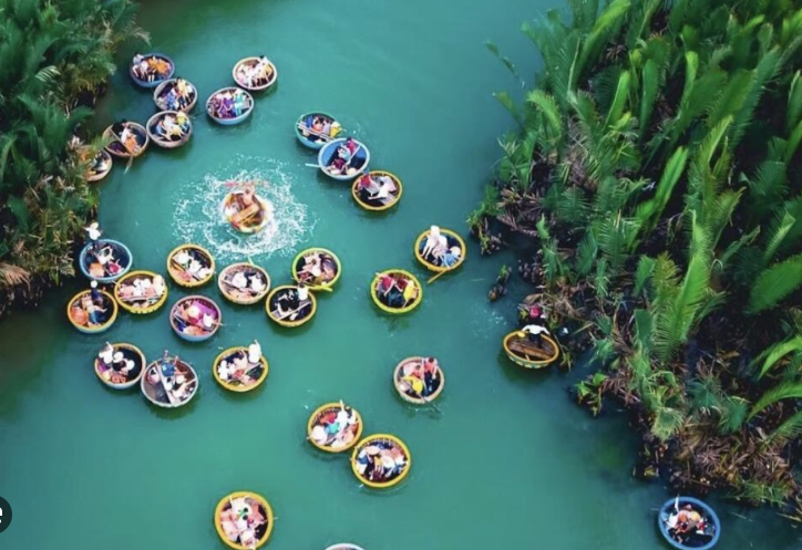 越南會安椰子船生態之旅，遊客搭乘圓形竹筏穿梭於椰林水道