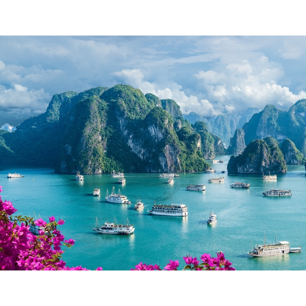 飛旭旅行社 Fei Hsu Travel