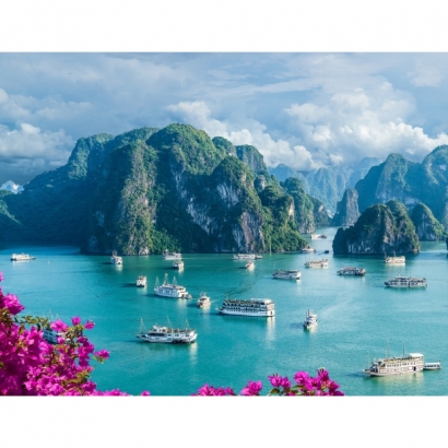 飛旭旅行社 Fei Hsu Travel